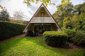 Goudhaan I Fijne Accommodatie met Openhaard